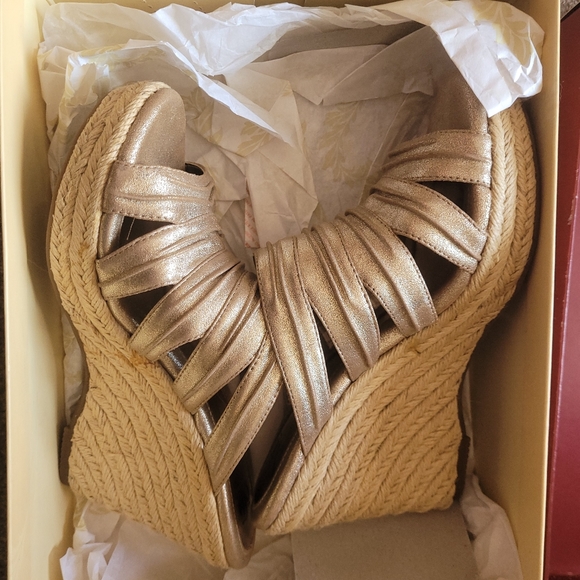 Champagne Wedge Sandals - ergonomic designing - Picture 1 of 7